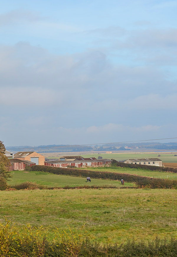 The Tennyson (B)